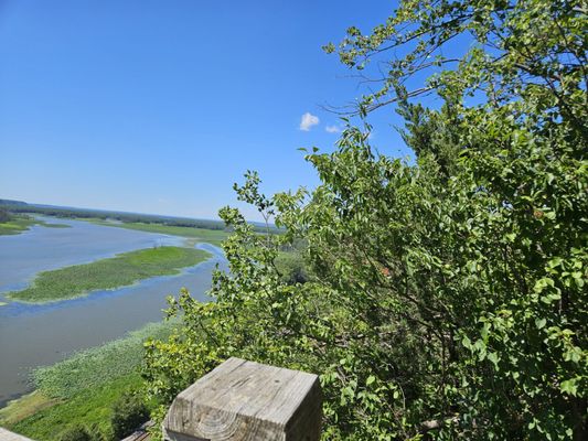 Mississippi Palisades State Park by null