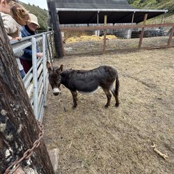 UC Elkus Ranch Environmental Education Center