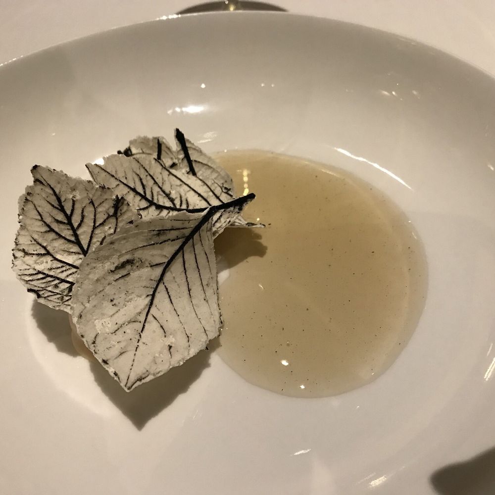 Birch leaves