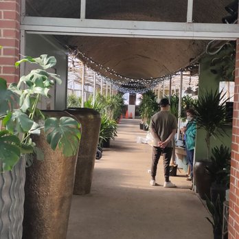 Calvert's Plant Interiors - We came in from there - Nurseries & Gardening Near Me - Oklahoma City, Oklahoma Calvert's Plant Interiors - We came in from there - Nurseries & Gardening Near Me - Oklahoma City, Oklahoma