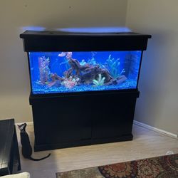 Fishguy Aquariums - A wonderful addition to any home is a 75gallon aquarium