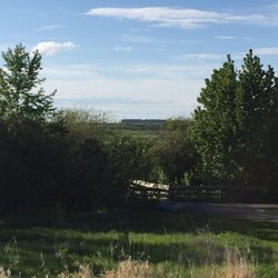 Lois Hole Centennial Provincial Park - View of boardwalk to lake from parking lot