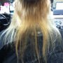 Photo of The Hair Therapist