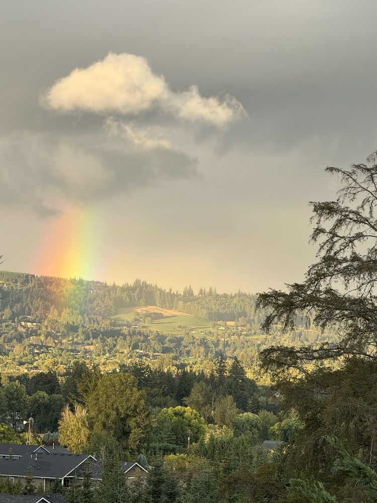 The Good Life Preschool - childcare center in Dundee, OR