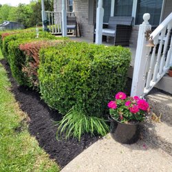 Bloodline Lawn Care