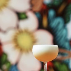 Mount Pleasant Vintage & Provisions