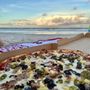 Photo of Coastal Pizza