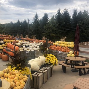 SWEETBERRY FRESH MARKET - Updated September 2024 - 50 Photos & 86