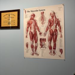 Sobel Family Medicine - Skeletal view