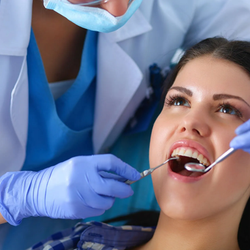 Elm Dental Care - Untitled
