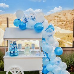 Z’s Dessert Cart Rental - Blue and white theme