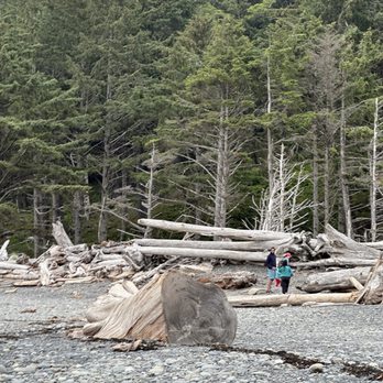 Rialto Beach - Huge logs - Hiking Near Me Rialto Beach - Huge logs - Hiking Near Me