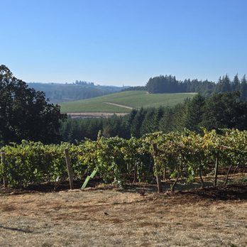 Willamette Valley Vineyards - The view from outside the venue - Wineries Near Me - Turner, Oregon Willamette Valley Vineyards - The view from outside the venue - Wineries Near Me - Turner, Oregon