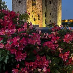 Trim Castle Hotel - View of the castle from the community deck.