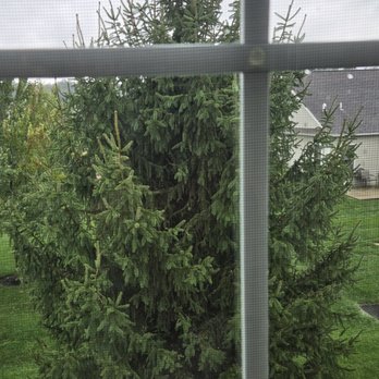 Rubios Tree Service And Landscaping - Before - Tree Services Near Me - Lancaster, Pennsylvania Rubios Tree Service And Landscaping - Before - Tree Services Near Me - Lancaster, Pennsylvania