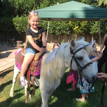 Little Reds Barnyard Friends - Unicorn Rides! - Petting Zoos Near Me