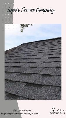 Ippo's Service Company Logo