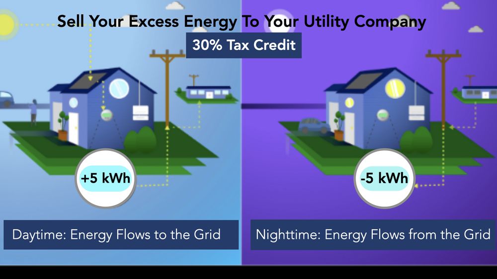 Slide of Team Apricot