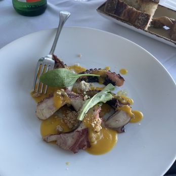 Gallo - Polpo - Italian Near Me - Trani, BT
