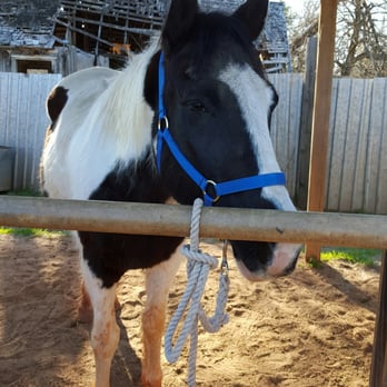 The Riding Stables - Horseback Riding Near Me - Oklahoma City, Oklahoma
