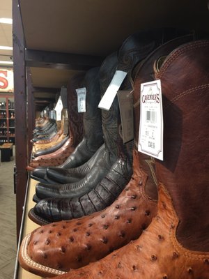 cavender boots culebra