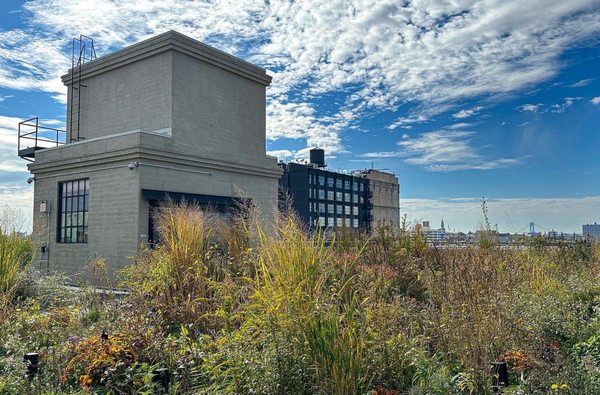 Brooklyn Grange @ Sunset Park by null