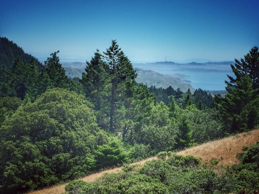 Matt Davis Trail Head by null
