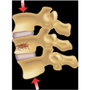 Photo of Georgetown Interventional Pain