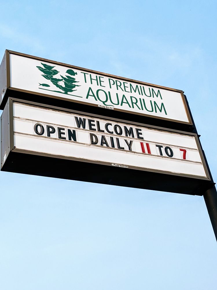 THE PREMIUM AQUARIUM Updated August 2024 22 Photos & 30 Reviews