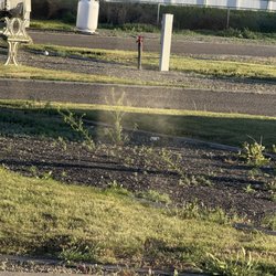 Example spot that had less weeds than others.