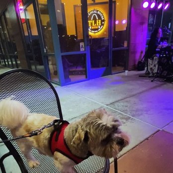 The Local House Bistro - Teddy sitting in the patio listening to Trixie Duo's music performance - Burgers Near Me - Wildwood, Missouri The Local House Bistro - Teddy sitting in the patio listening to Trixie Duo's music performance - Burgers Near Me - Wildwood, Missouri