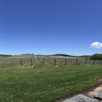 Blustone Vineyards - Wine Tasting Room Near Me - Lake Leelanau, Michigan Blustone Vineyards - Wine Tasting Room Near Me - Lake Leelanau, Michigan