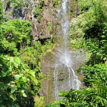 Dynamic Tour Maui - Bus Tours Near Me - Wailuku, Hawaii