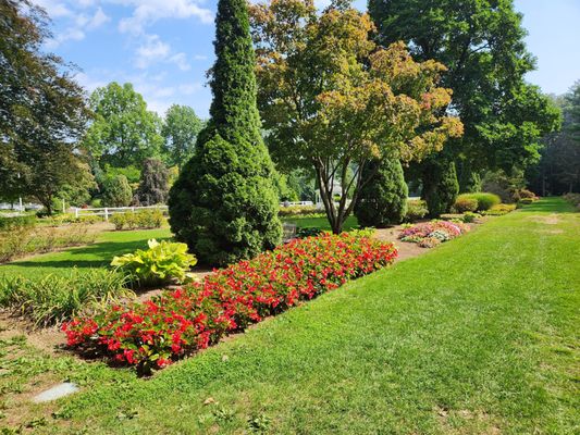 Stanley Park by null