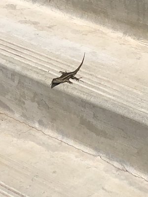 Adult Recreation Center by null