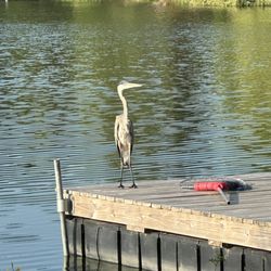 Maywood Sportsmen's Club - What are you gonna catch today?