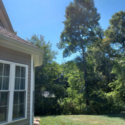 Charron Tree Service - Finished job!
