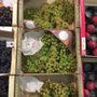 Photo of Monoprix