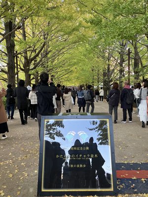 Showa Kinen Park by null