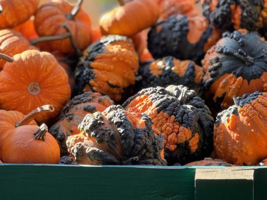 Larry's Produce by null