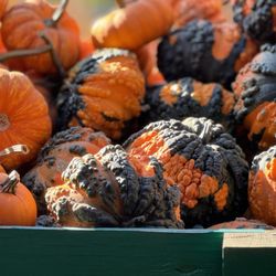 Larry's Produce