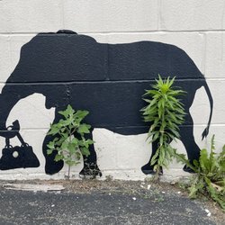 Elephant Mural