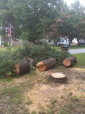 Protect your home from hazardous trees! - We remove all tree, tree stump and hazardous branches
