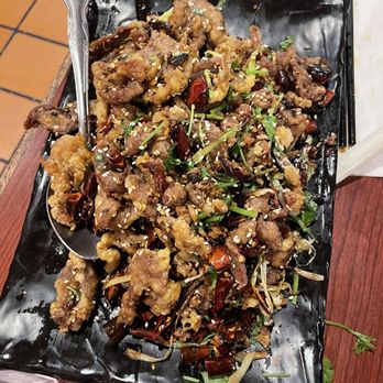 Dumpling House - D11. House Special Lamb with Cumin - Noodles Near Me - Cambridge, Massachusetts