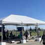 Photo of Annual Almond Blossom Festival
