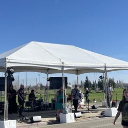 Annual Almond Blossom Festival