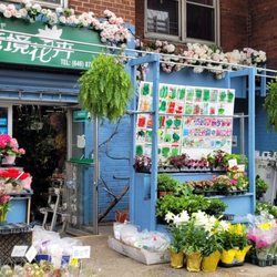 Flushing Flowers