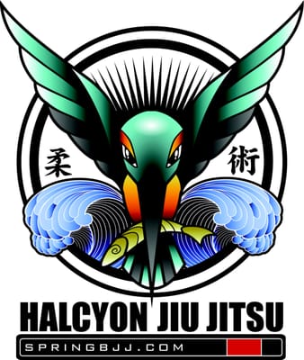 Halcyon Jiu Jitsu gym photo