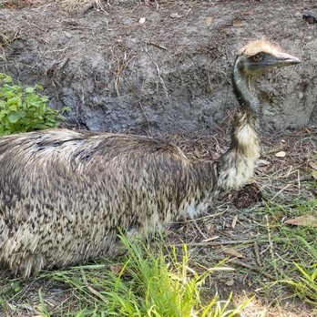 Lost Emu Farms - Landscaping Near Me - Aptos, California