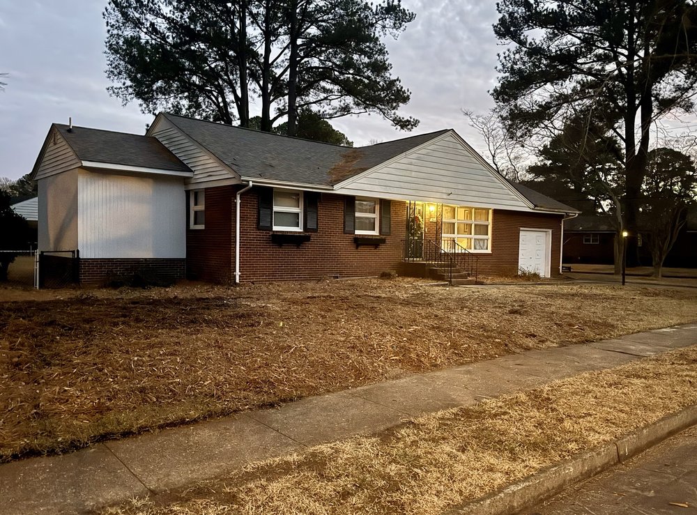 Great Scott Tree Service - tree service in Norfolk, VA